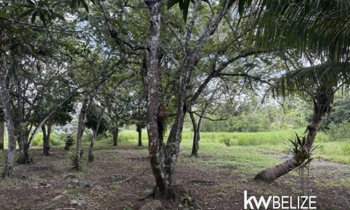 kellerwilliamsbelize-lr022607b-20
