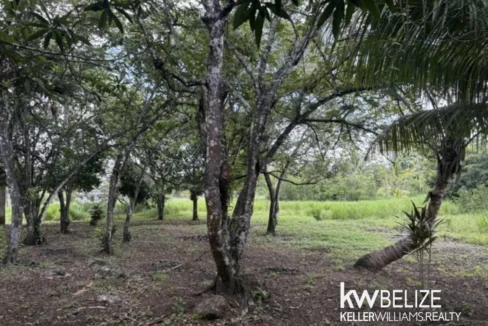 kellerwilliamsbelize-lr022607b-20