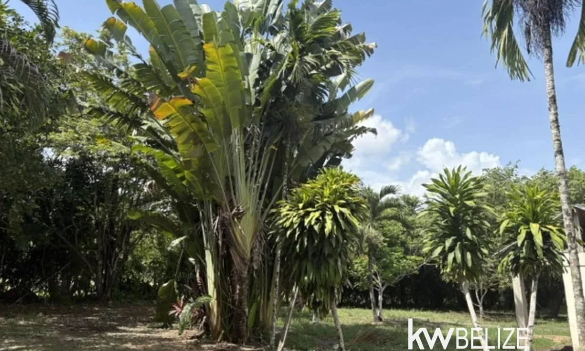 kellerwilliamsbelize-lr022607b-21