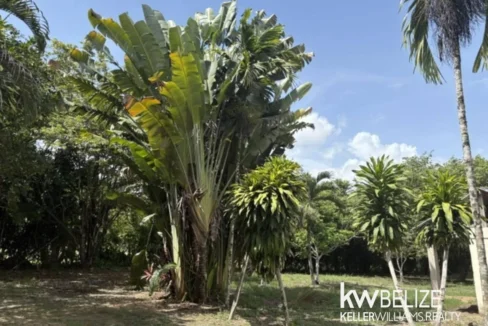 kellerwilliamsbelize-lr022607b-21