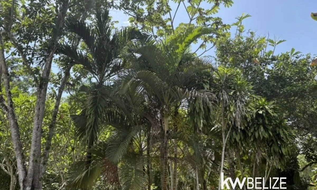 kellerwilliamsbelize-lr022607b-22