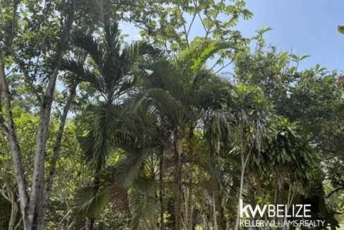 kellerwilliamsbelize-lr022607b-22