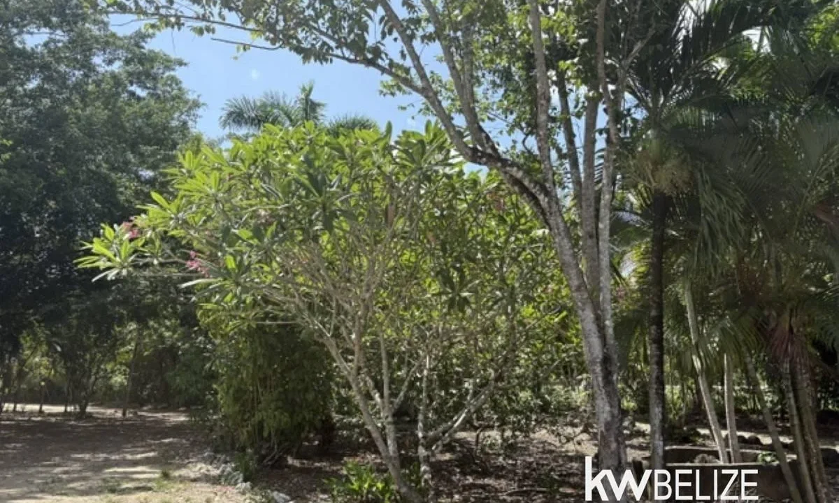 kellerwilliamsbelize-lr022607b-24