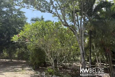kellerwilliamsbelize-lr022607b-24