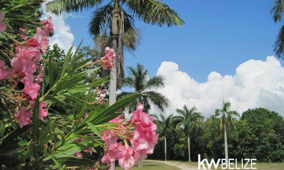 Belize Waterfront Development Land Corozal Bay - Image 2