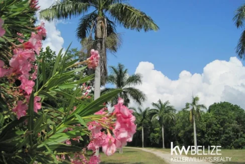 Belize Waterfront Development Land Corozal Bay - Image 2