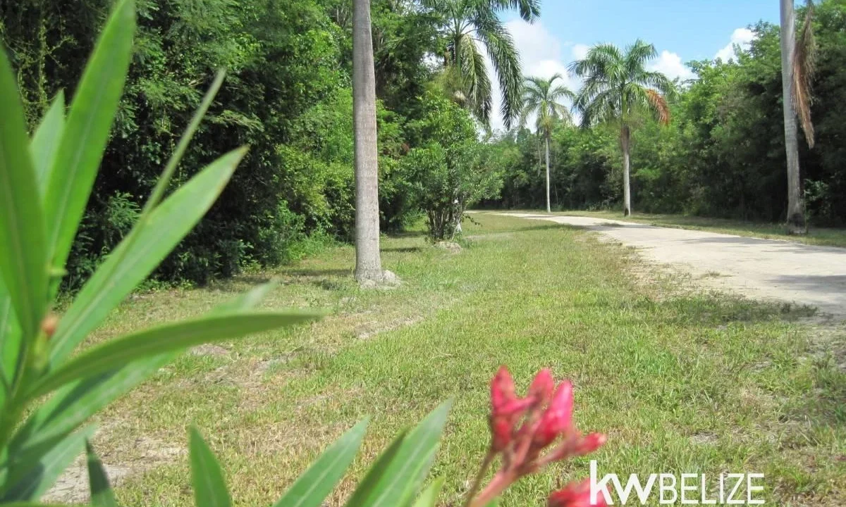 Belize Waterfront Development Land Corozal Bay - Image 3