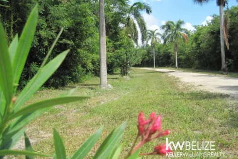 Belize Waterfront Development Land Corozal Bay - Image 3