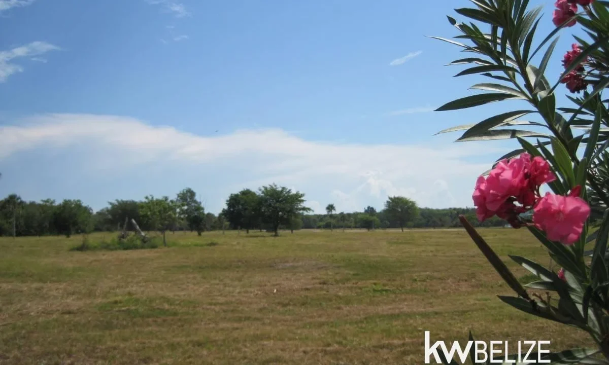 Belize Waterfront Development Land Corozal Bay - Image 4