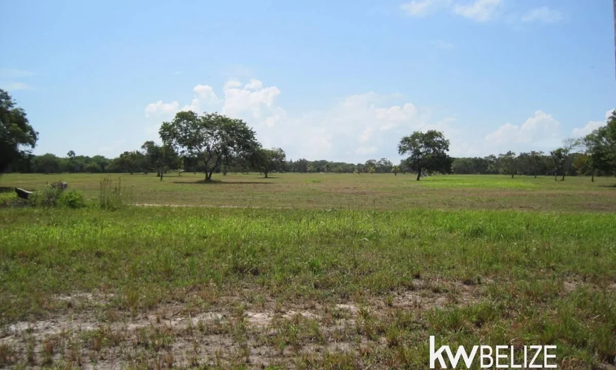 Belize Waterfront Development Land Corozal Bay - Image 7