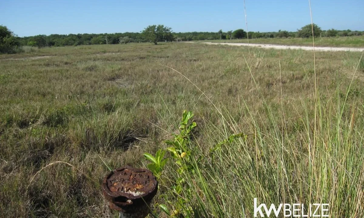 Belize Waterfront Development Land Corozal Bay - Image 8
