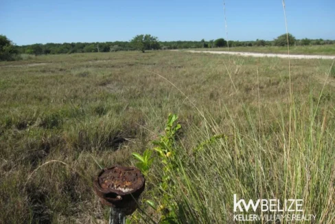 Belize Waterfront Development Land Corozal Bay - Image 8