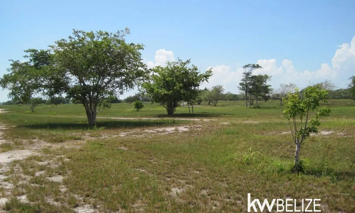 Belize Waterfront Development Land Corozal Bay - Image 10