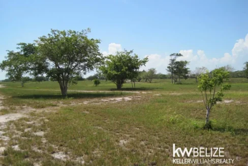 Belize Waterfront Development Land Corozal Bay - Image 10