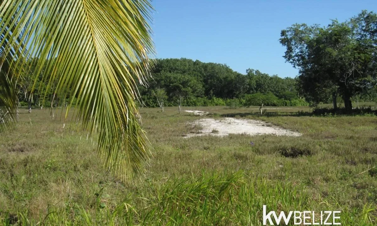 Belize Waterfront Development Land Corozal Bay - Image 11