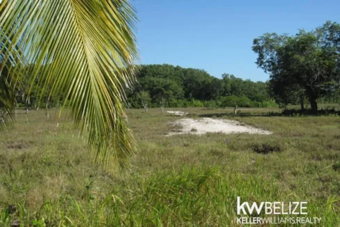 Belize Waterfront Development Land Corozal Bay - Image 11
