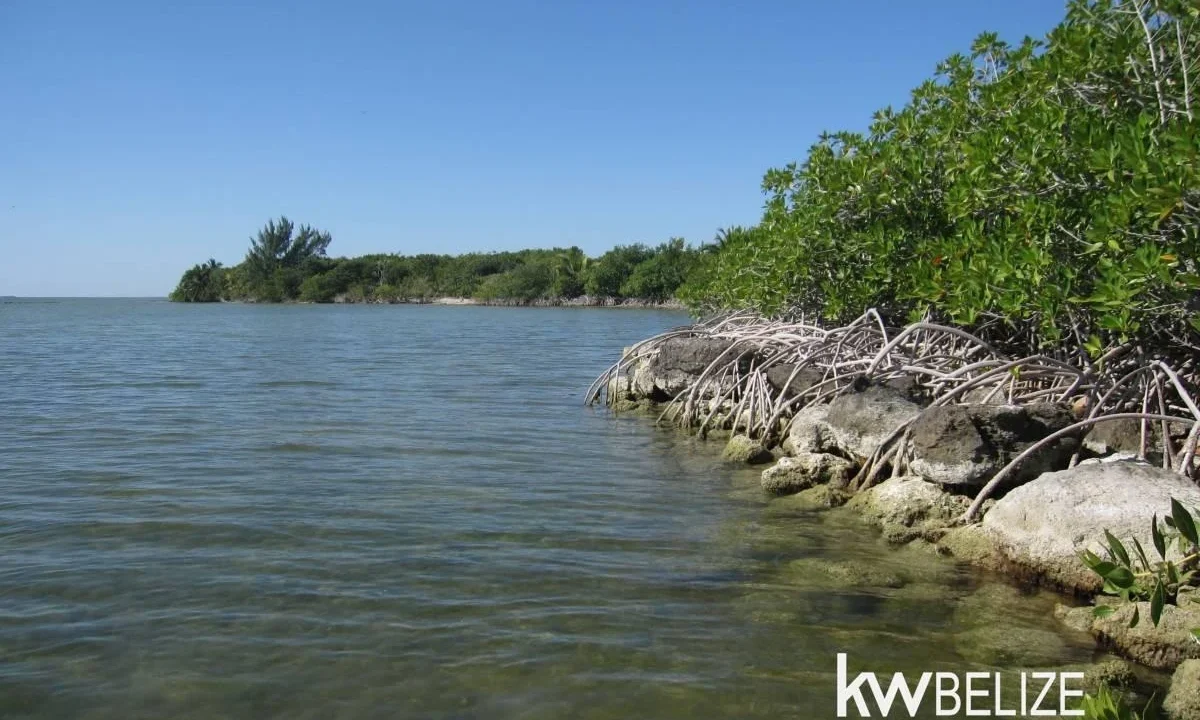 Belize Waterfront Development Land Corozal Bay - Image 12