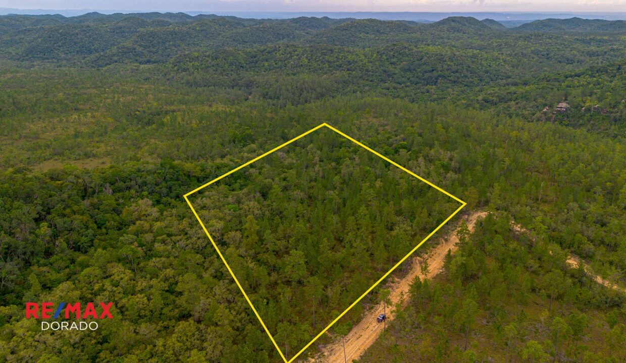 202693_91564f9eb8fa406b