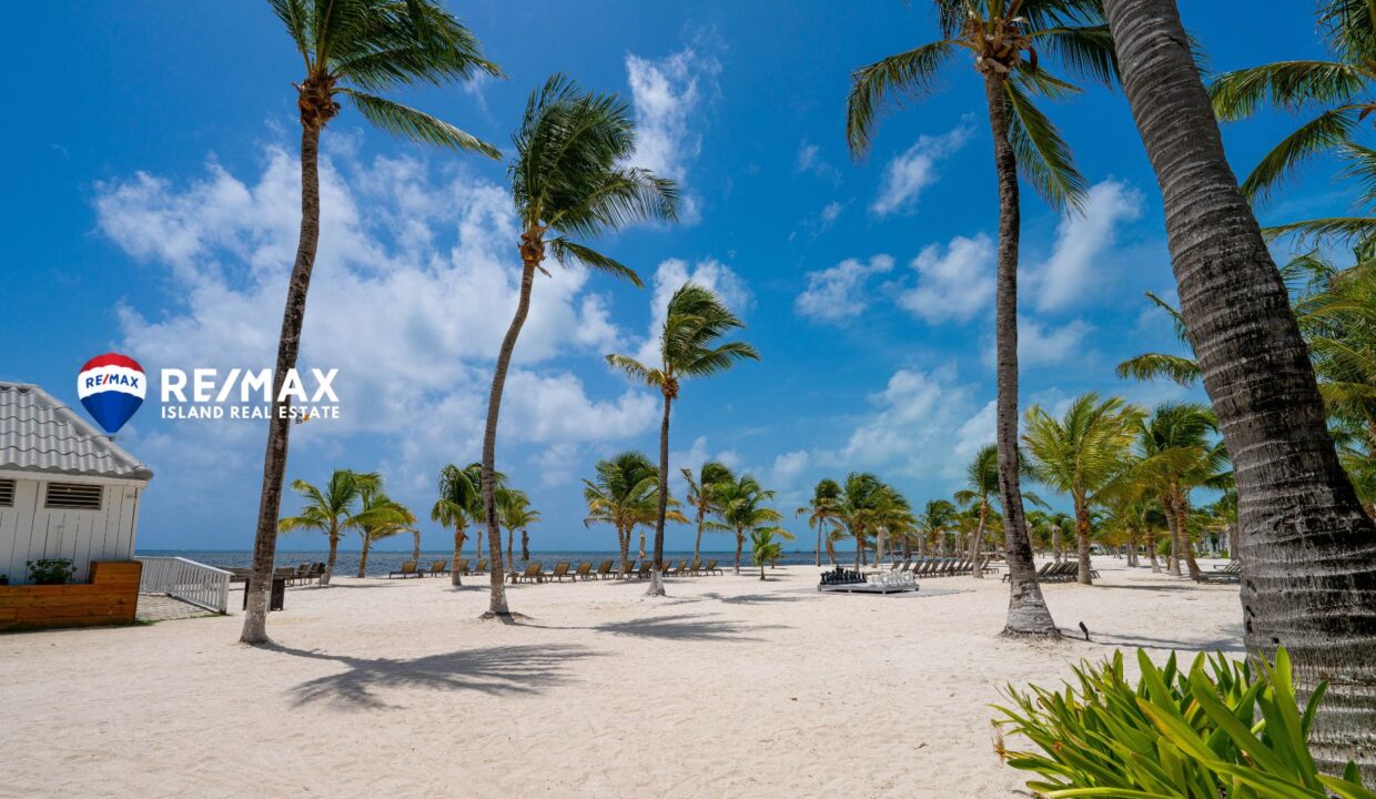 ALAIA-REEF-3213-RESIZED-WATERMARKED-2