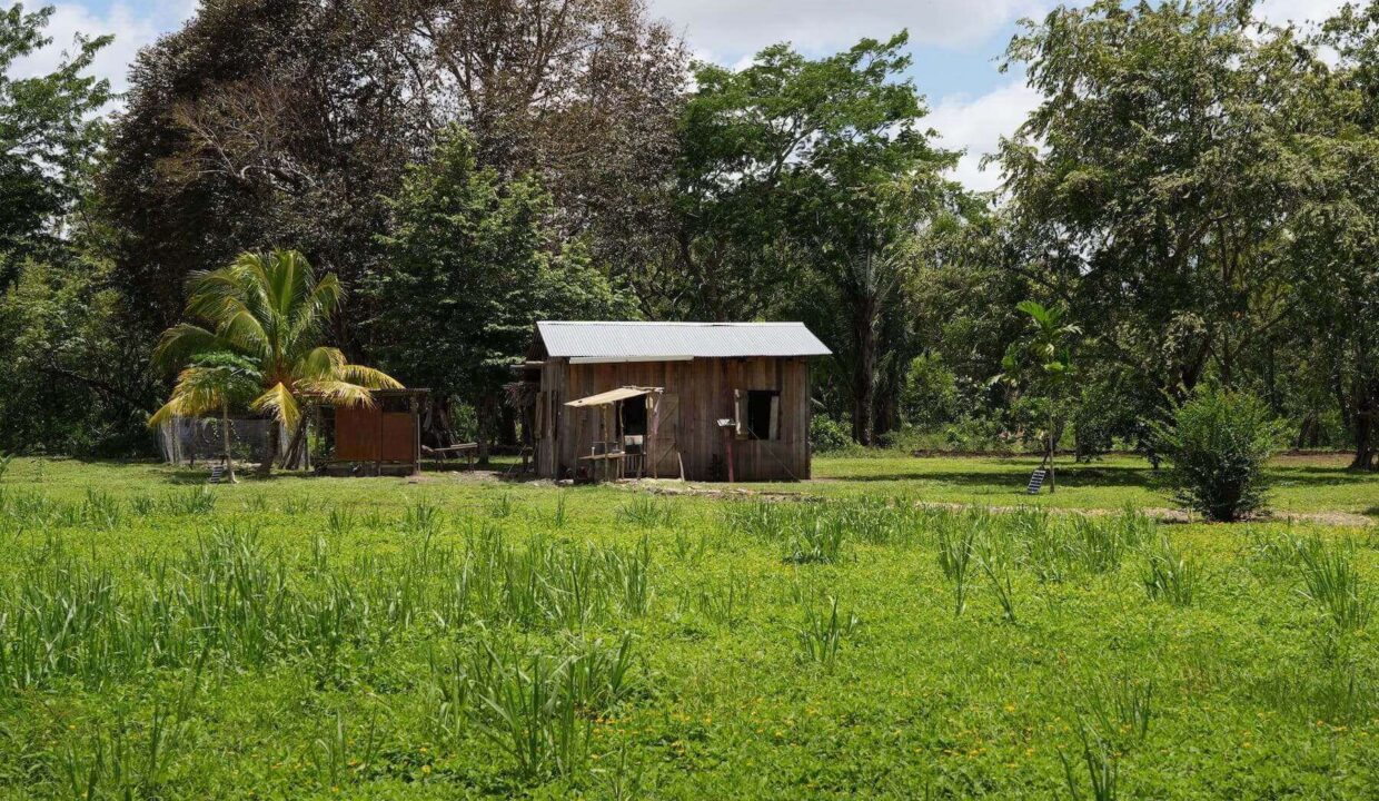 Caretakers20House