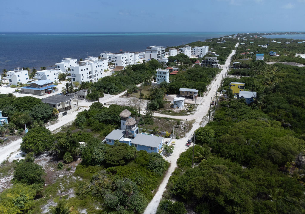 DJI_0649
