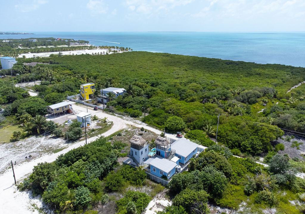 DJI_0652