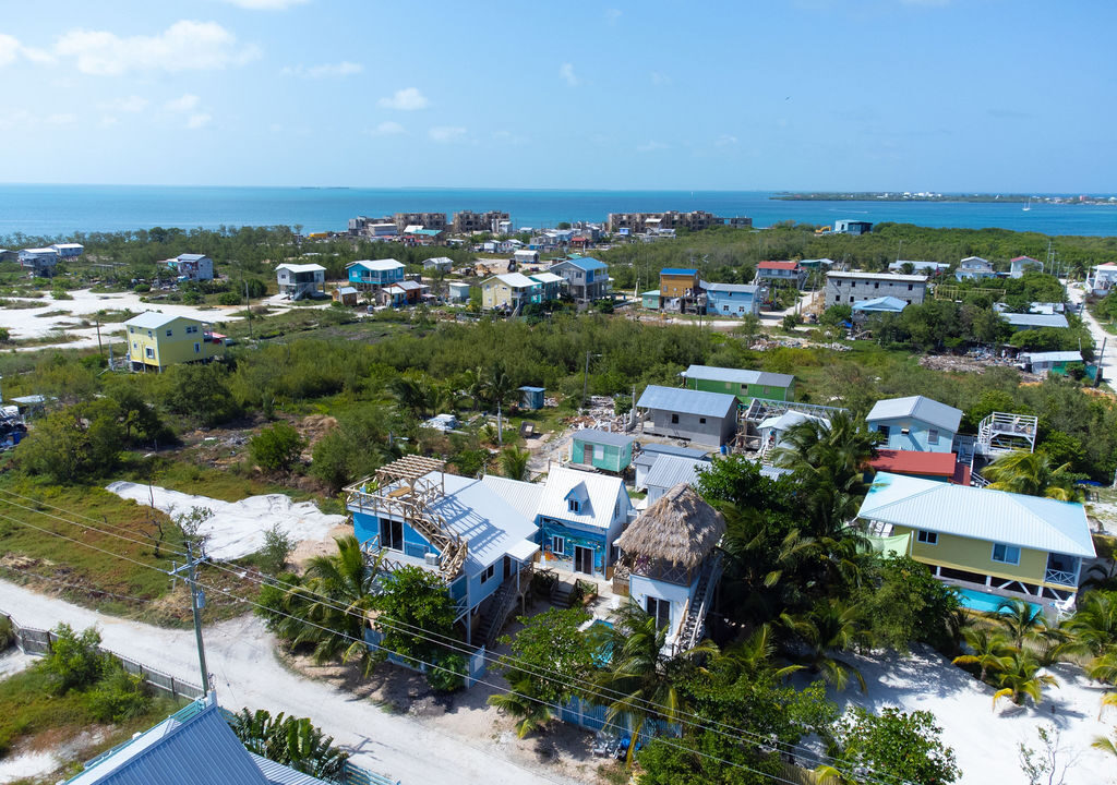 DJI_0696
