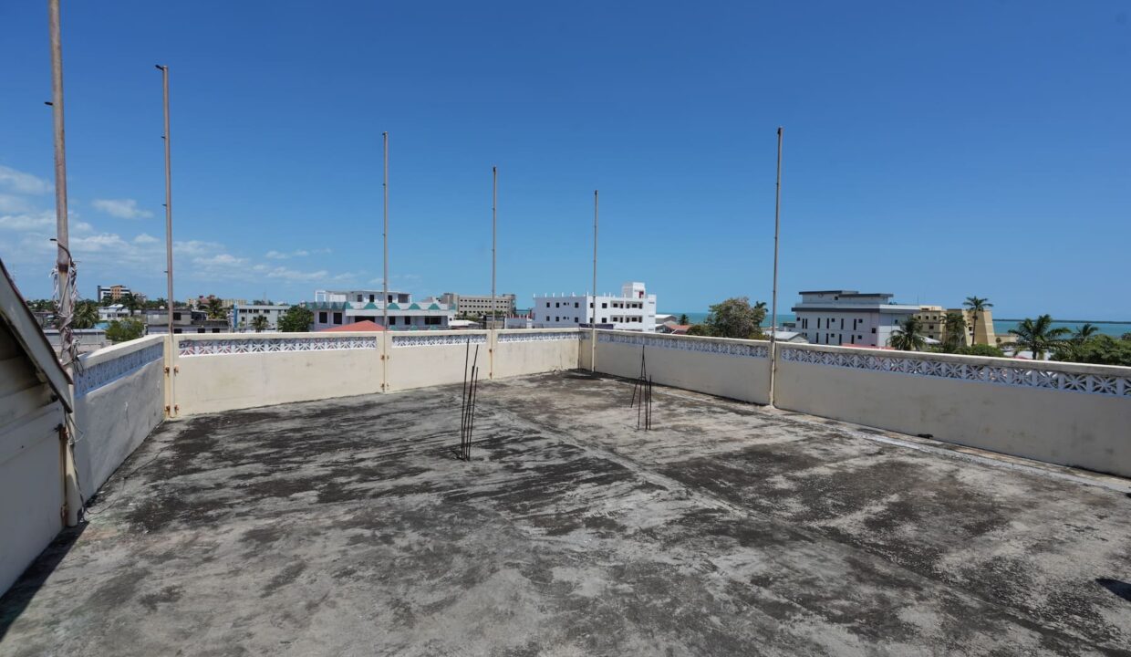 DSC01115
