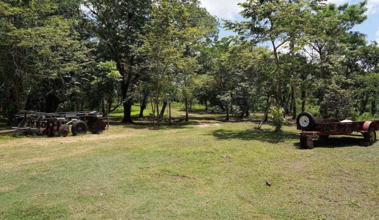 DSC05390