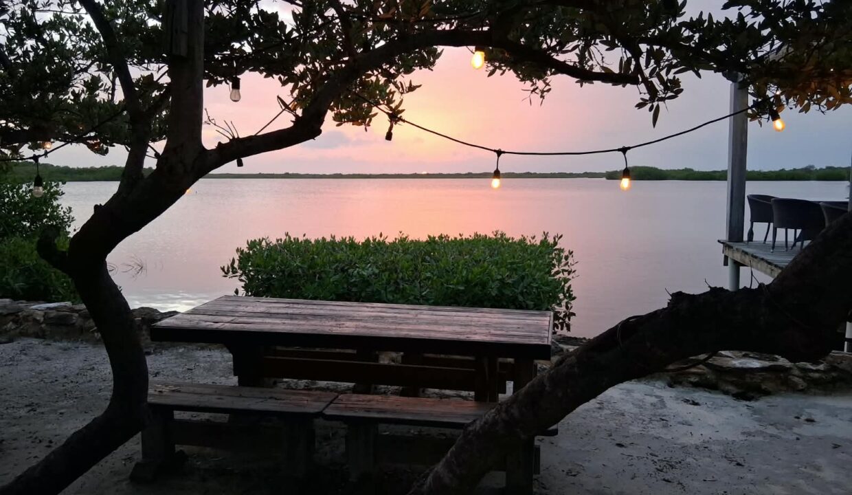 Coconut Cafe San Pedro Belize