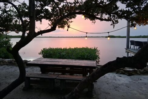 Coconut Cafe San Pedro Belize