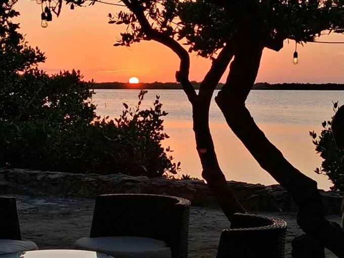 Coconut Cafe San Pedro Belize