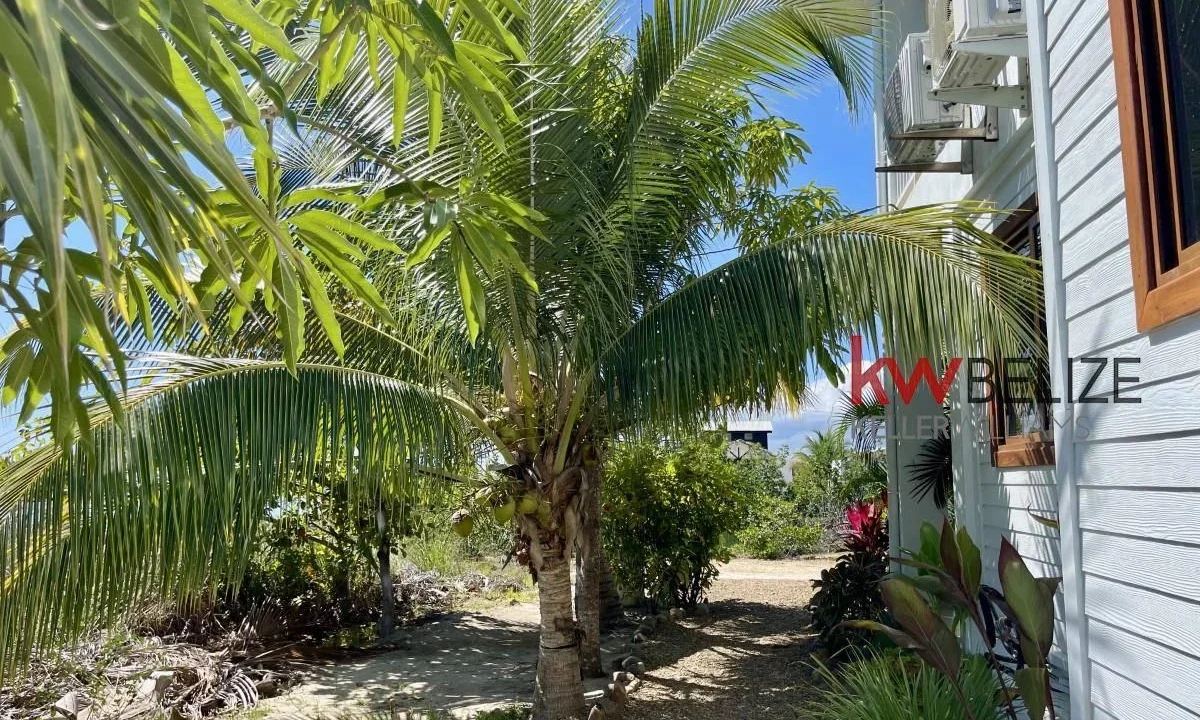 kellerwilliamsbelize-b2092-38