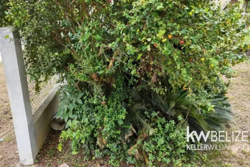 kellerwilliamsbelize-bbh102504hc-08