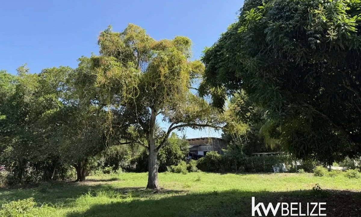 kellerwilliamsbelize-bh162602se-07