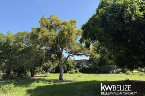 kellerwilliamsbelize-bh162602se-07