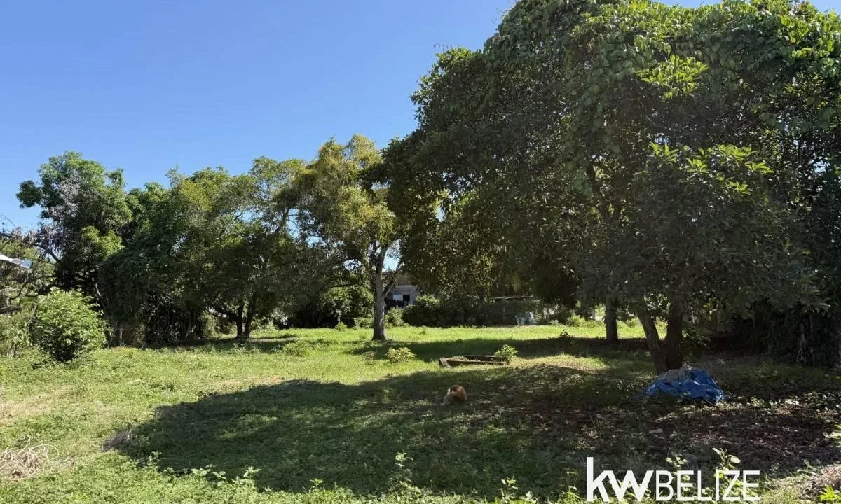 kellerwilliamsbelize-bh162602se-08