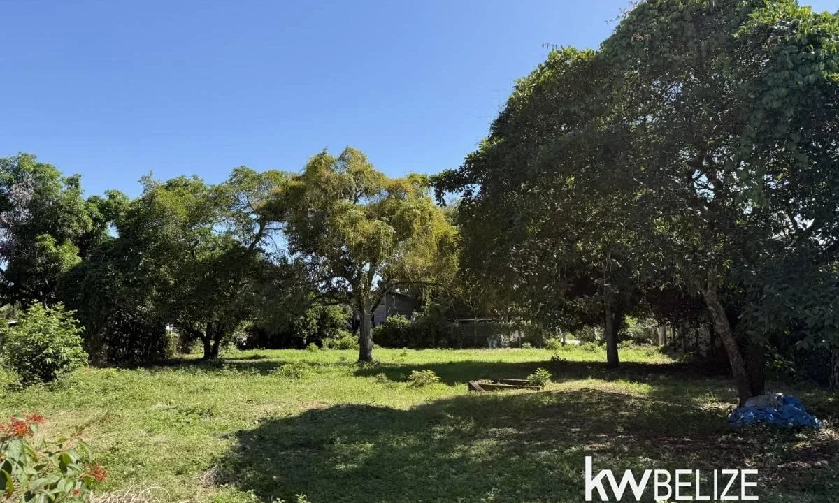 kellerwilliamsbelize-bh162602se-14