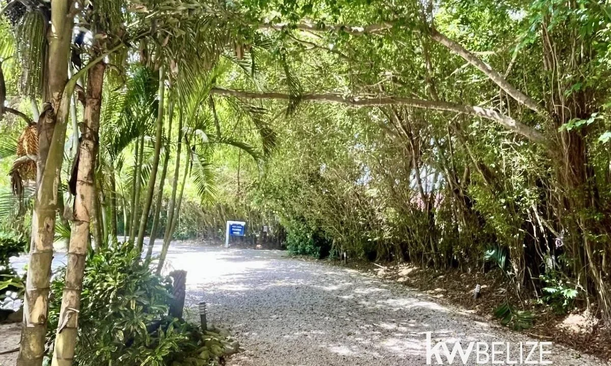 kellerwilliamsbelize-c2132-21