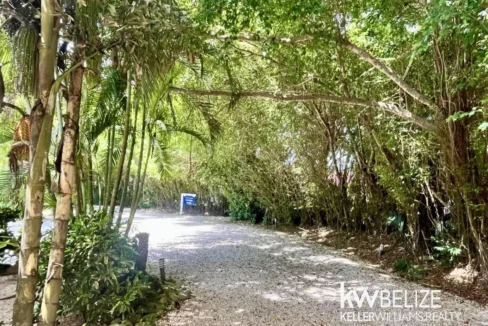 kellerwilliamsbelize-c2132-21