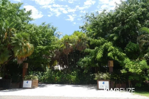 kellerwilliamsbelize-c2132-30