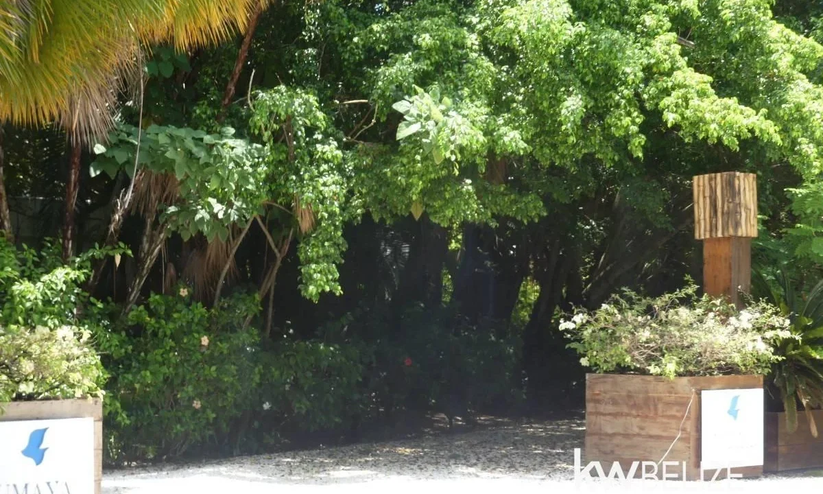 kellerwilliamsbelize-c2132-31