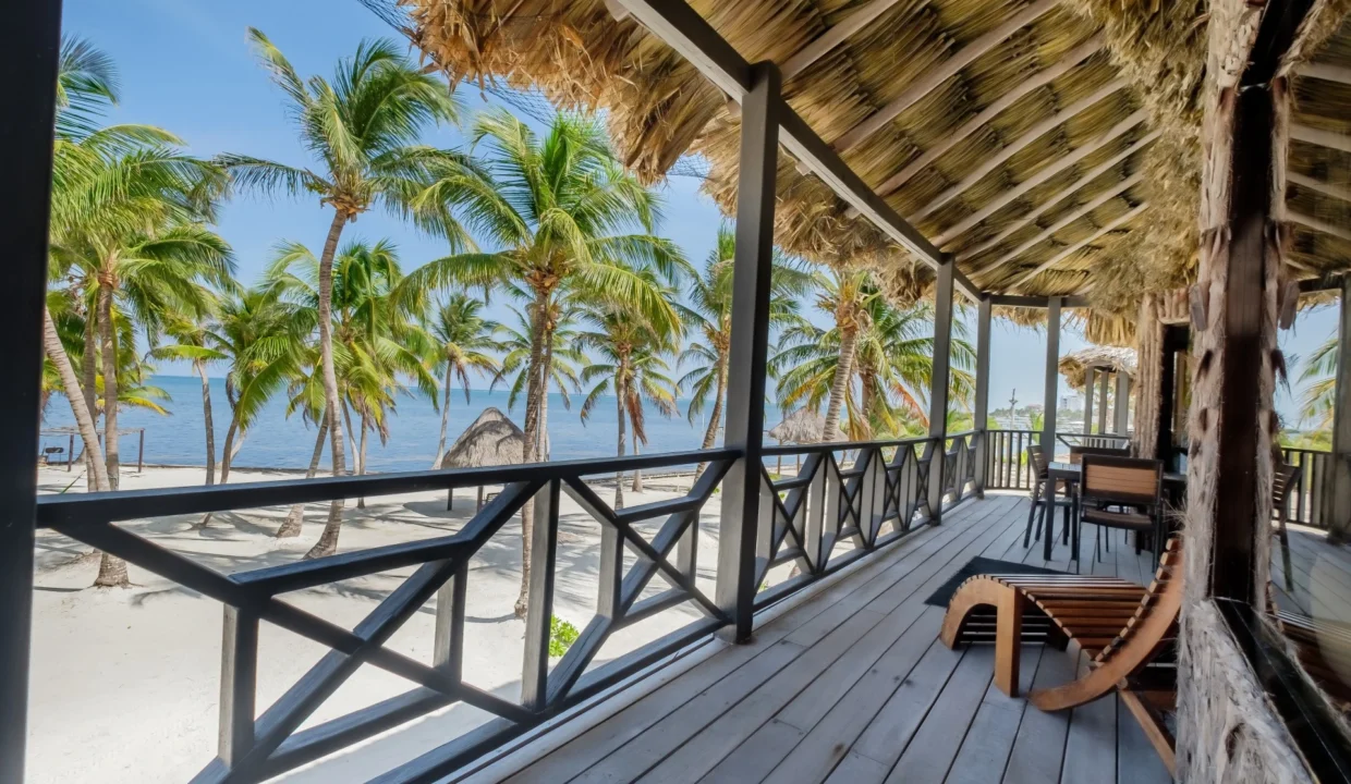 kellerwilliamsbelize-dolphindreamb3jm-01-1