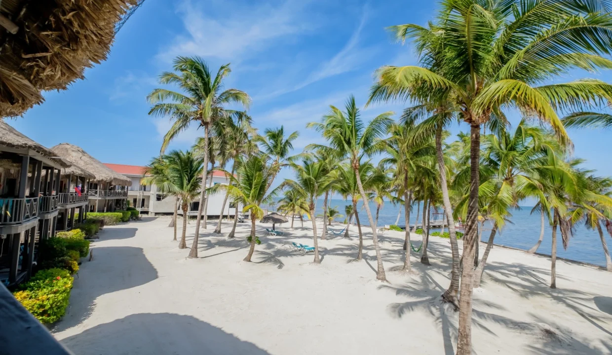 kellerwilliamsbelize-dolphindreamb3jm-33