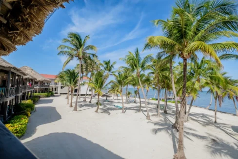 kellerwilliamsbelize-dolphindreamb3jm-33
