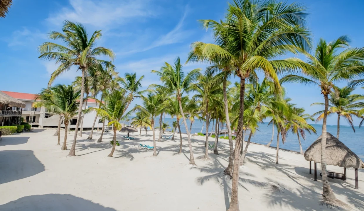 kellerwilliamsbelize-dolphindreamb3jm-34