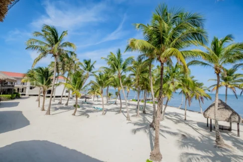 kellerwilliamsbelize-dolphindreamb3jm-34