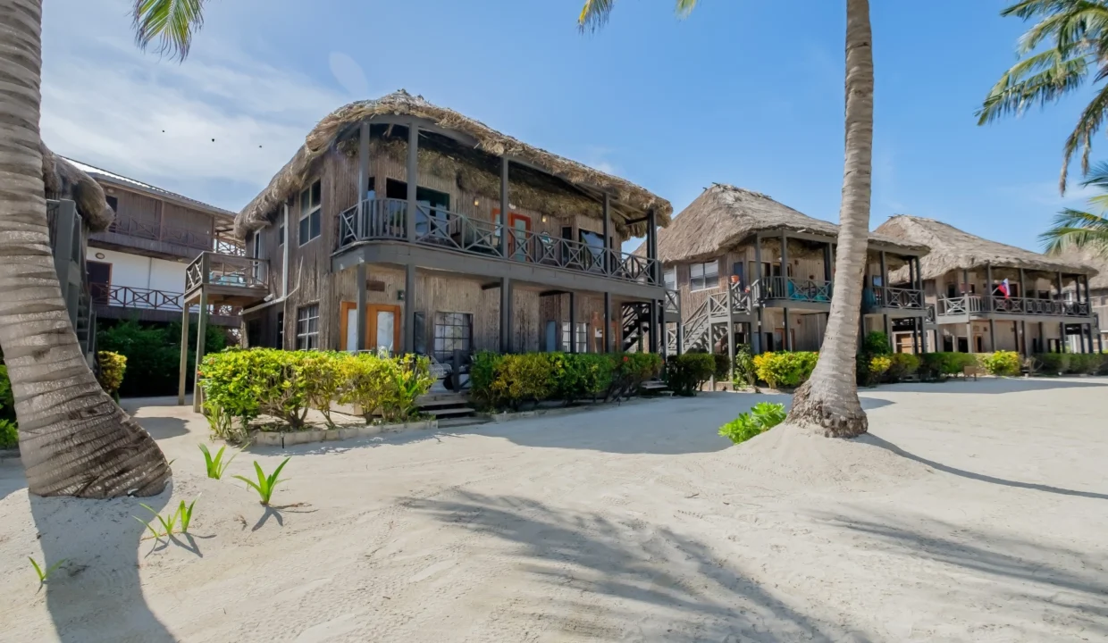 kellerwilliamsbelize-dolphindreamb3jm-35