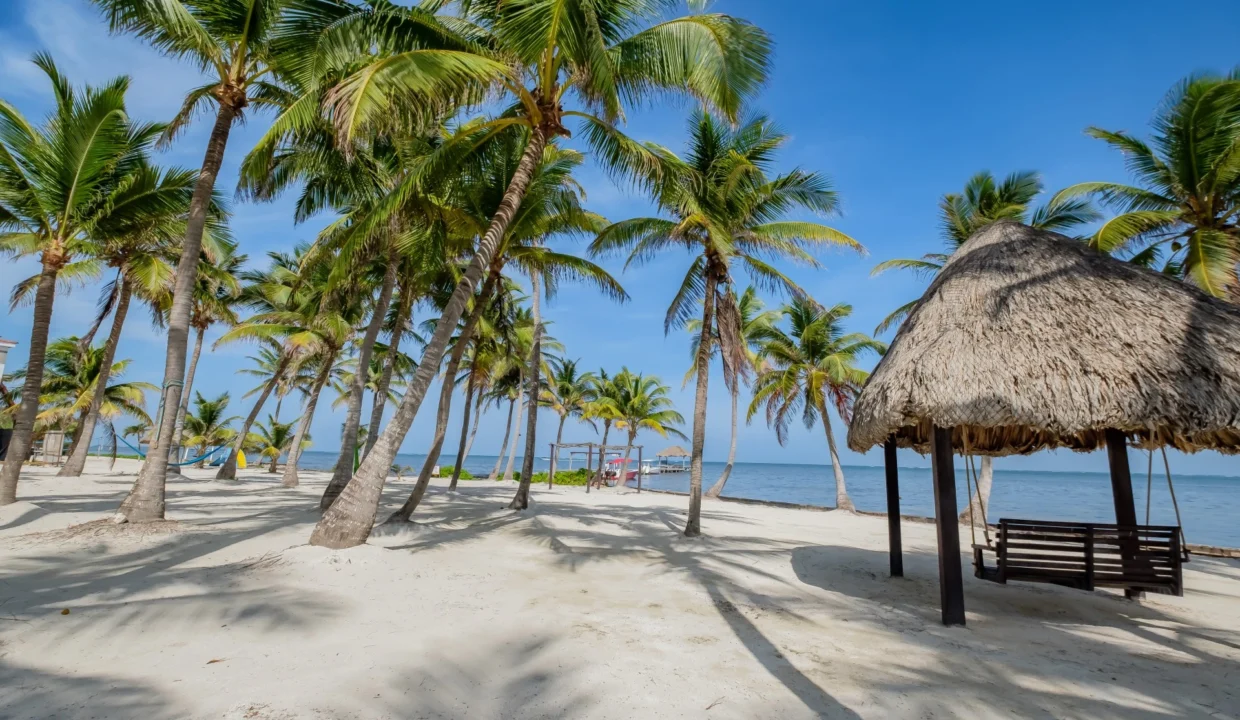 kellerwilliamsbelize-dolphindreamb3jm-36