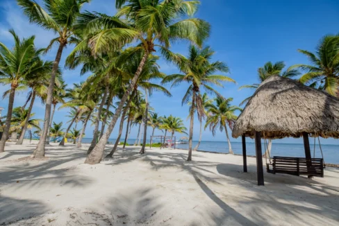 kellerwilliamsbelize-dolphindreamb3jm-36